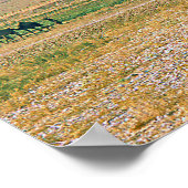 Camel caravan poster (Hoek)