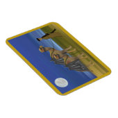 Camel Caravan Premium Magnet Magneet (Rechterzijde)