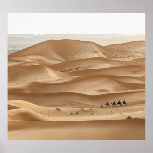 Camel caravan, Sahara zonsondergang, Marokko Poster (Voorkant)