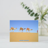 Camel caravan, Thar Desert, India Briefkaart (Staand voorkant)