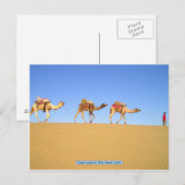 Camel caravan, Thar Desert, India Briefkaart (Voorkant / Achterkant)