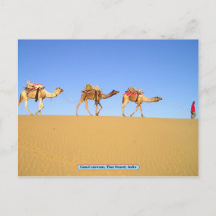 Camel caravan, Thar Desert, India Briefkaart