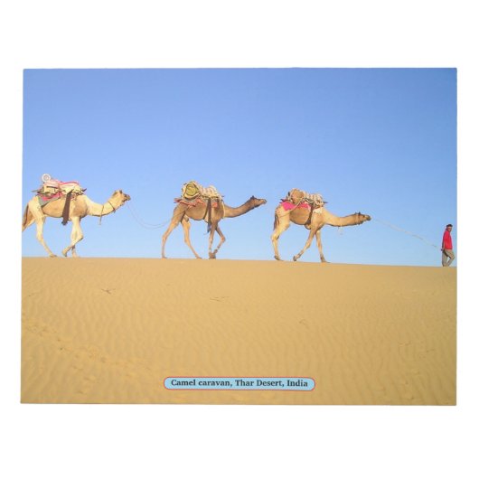 Camel caravan, Thar Desert, India Notitieblok (Voorkant)