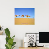 Camel caravan, Thar Desert, India Poster (Thuiskantoor)