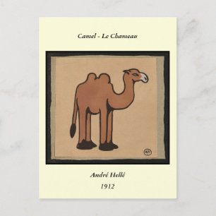 Camel - Colorful Antiquarian Book Illustration Briefkaart