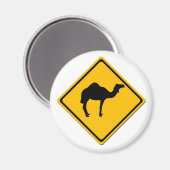 Camel Crossing Magnet (Voorkant / Achterkant)