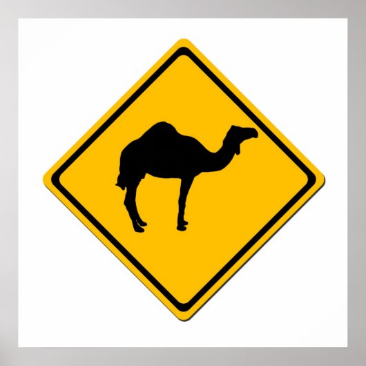 Camel Crossing Poster (Voorkant)