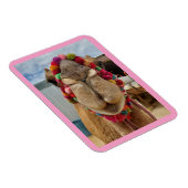 Camel Cuteness Pink Magnet Magneet (Rechterzijde)