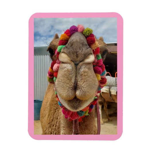 Camel Cuteness Pink Magnet Magneet (Verticaal)