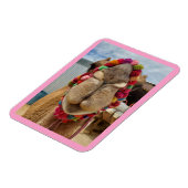 Camel Cuteness Pink Magnet Magneet (Linkerzijde)