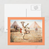 Camel Dance Postcard Briefkaart (Voorkant / Achterkant)