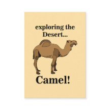 Camel Desert Animal Funny