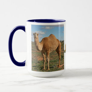 Camel Desert Middle East Peace Love Natuur Destiny Mok