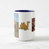 Camel Desert Middle East Peace Love Natuur Destiny Mok (Midden)
