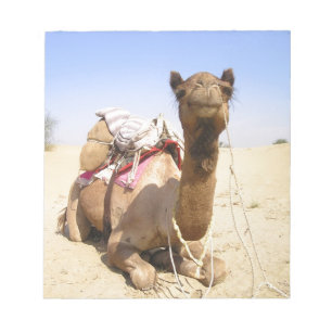 Camel Desert Middle East Peace Love Natuur Destiny Notitieblok