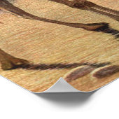 Camel door Louis Sargent,  wilde dieren Poster (Hoek)