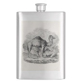  Camel Dromedary Persoonlijke Illustratie Flacon