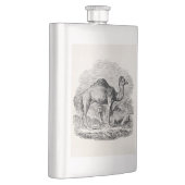 Camel Dromedary Persoonlijke Illustratie Flacon (Rechts)