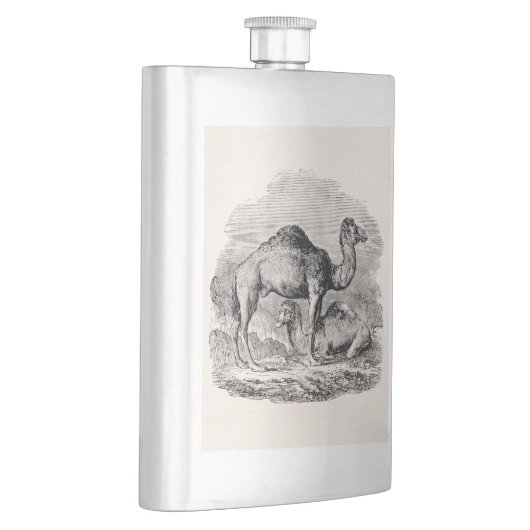  Camel Dromedary Persoonlijke Illustratie Flacon (Rechts)