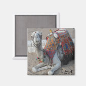 Camel Egypte Magneet (Voorkant / Achterkant)