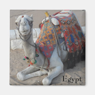 Camel Egypte Magneet