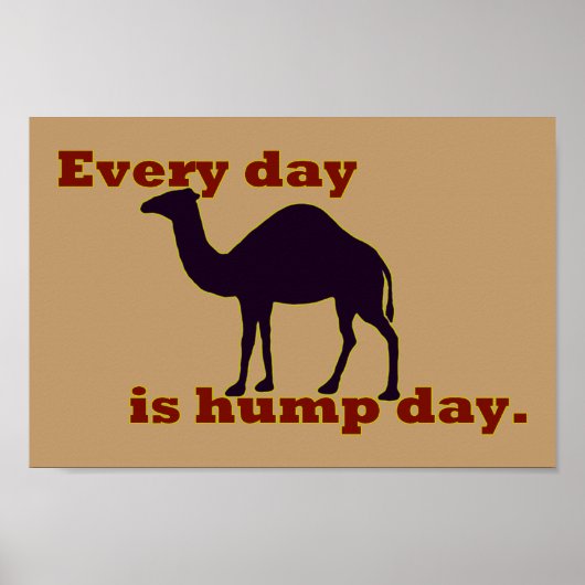 Camel "Elke dag is Hump Day" Poster (Voorkant)