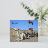 Camel en Cart - Briefkaart Egypte (Staand voorkant)