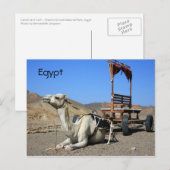 Camel en Cart - Briefkaart Egypte (Voorkant / Achterkant)