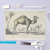 Camel Ephemera Decoupage Franse script Tissuepapier (Craft)