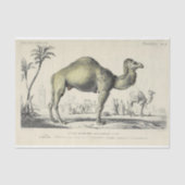  Camel Ephemera Decoupage Franse script Tissuepapier (Voorkant)