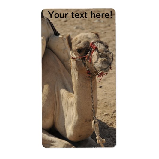 Camel Etiket (Voorkant)