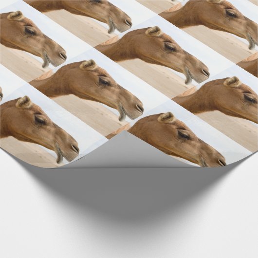 Camel face cadeaupapier (Hoek)