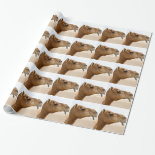 Camel face cadeaupapier