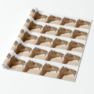 Camel face cadeaupapier