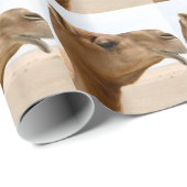 Camel face cadeaupapier (Rol Hoek)