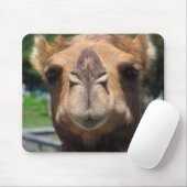 Camel Face Muismat (Met muis)