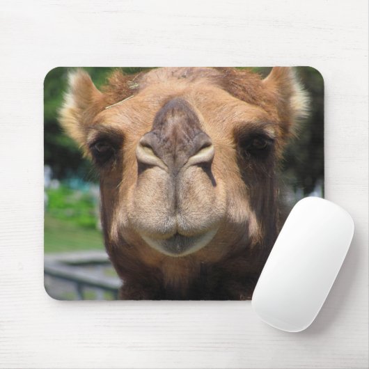 Camel Face Muismat (Met muis)