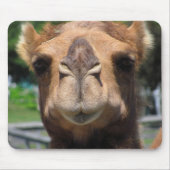 Camel Face Muismat (Voorkant)