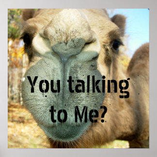 Camel Face, praat je tegen me? Poster