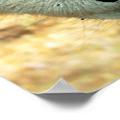 Camel Face, praat je tegen me? Poster (Hoek)