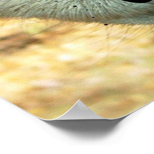 Camel Face, praat je tegen me? Poster (Hoek)