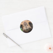 Camel Face Ronde Sticker (Envelop)