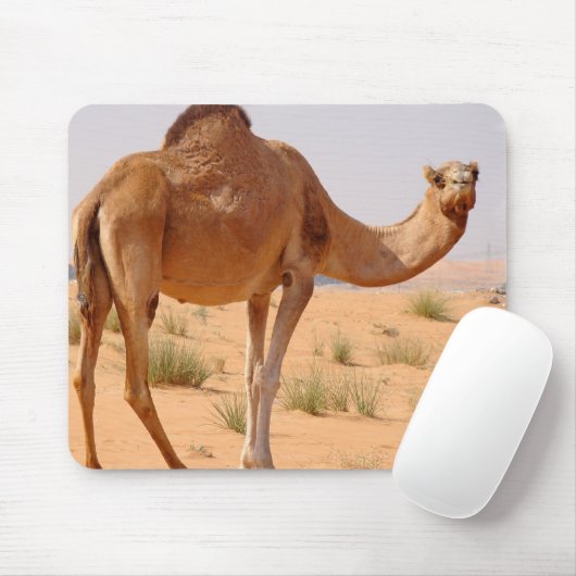 Camel for Arabs Muismat (Met muis)