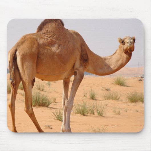 Camel for Arabs Muismat (Voorkant)