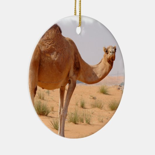 Camel for Arabs Ornament (Rechts)