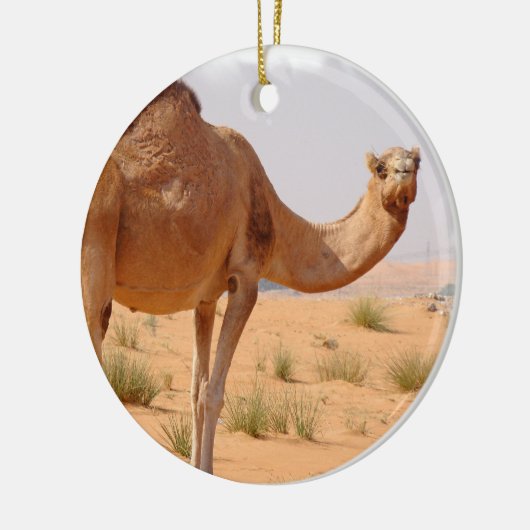 Camel for Arabs Ornament (Links)