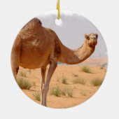 Camel for Arabs Ornament (Achterkant)