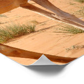 Camel for Arabs Poster Print (Hoek)