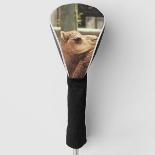 Camel Golfheadcover