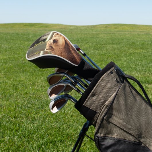 Camel Golfheadcover (Insitu)